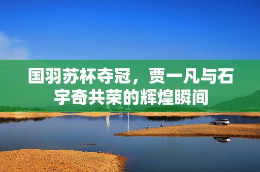 国羽苏杯夺冠，贾一凡与石宇奇共荣的辉煌瞬间