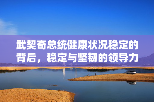 武契奇总统健康状况稳定的背后，稳定与坚韧的领导力展现