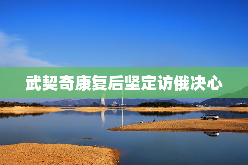 武契奇康复后坚定访俄决心