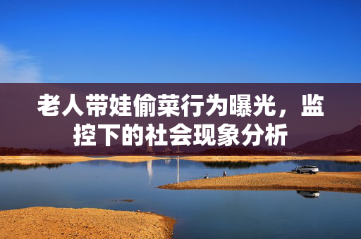老人带娃偷菜行为曝光，监控下的社会现象分析