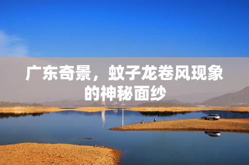 广东奇景，蚊子龙卷风现象的神秘面纱