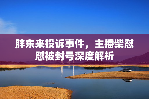 胖东来投诉事件，主播柴怼怼被封号深度解析