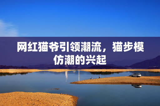 网红猫爷引领潮流，猫步模仿潮的兴起