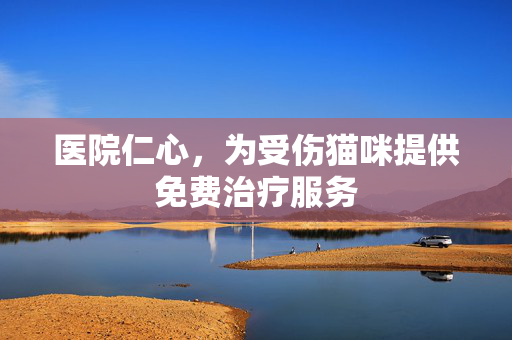 医院仁心，为受伤猫咪提供免费治疗服务