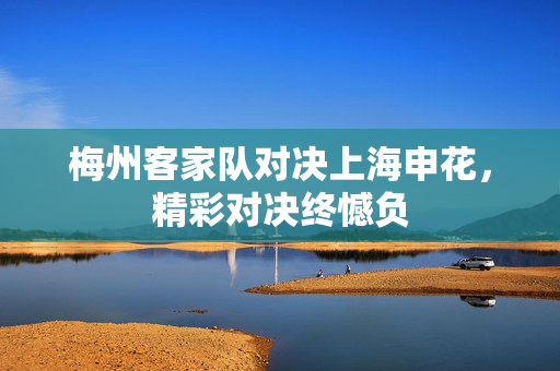 梅州客家队对决上海申花，精彩对决终憾负