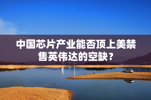 中国芯片产业能否顶上美禁售英伟达的空缺？