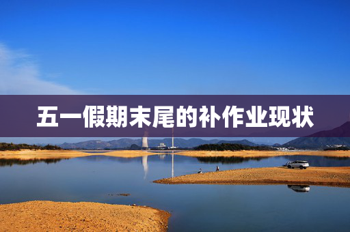 五一假期末尾的补作业现状