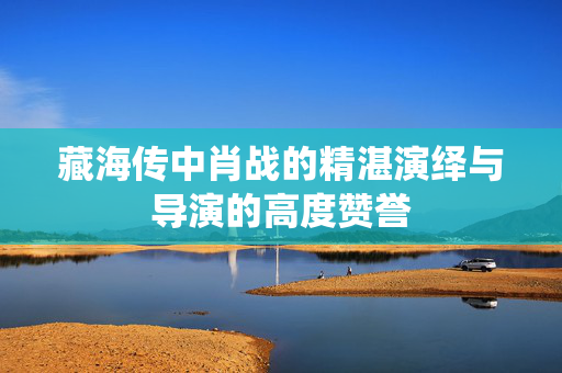 藏海传中肖战的精湛演绎与导演的高度赞誉