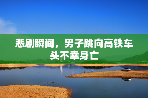 悲剧瞬间，男子跳向高铁车头不幸身亡