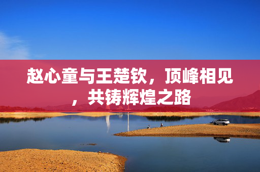 赵心童与王楚钦，顶峰相见，共铸辉煌之路