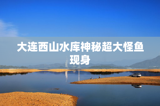 大连西山水库神秘超大怪鱼现身