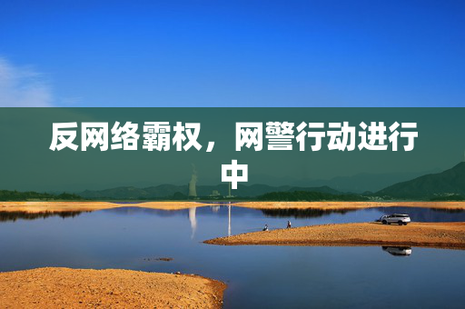 反网络霸权，网警行动进行中