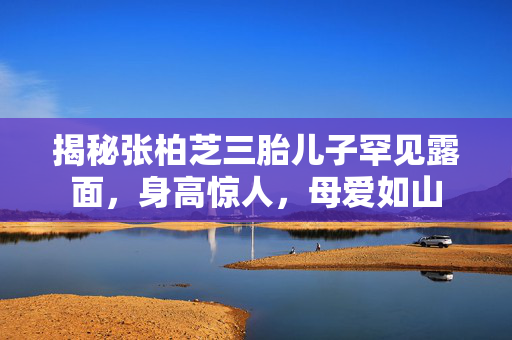 揭秘张柏芝三胎儿子罕见露面，身高惊人，母爱如山