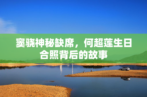 窦骁神秘缺席，何超莲生日合照背后的故事
