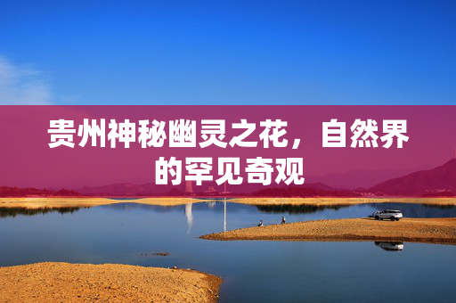 贵州神秘幽灵之花，自然界的罕见奇观