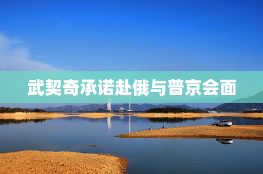 武契奇承诺赴俄与普京会面