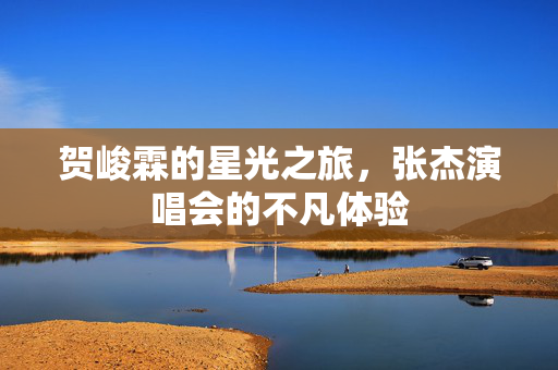 贺峻霖的星光之旅，张杰演唱会的不凡体验