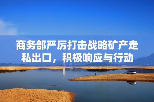 商务部严厉打击战略矿产走私出口，积极响应与行动