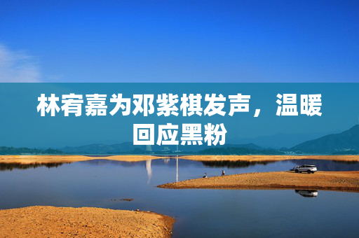 林宥嘉为邓紫棋发声，温暖回应黑粉