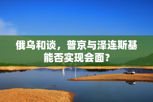 俄乌和谈，普京与泽连斯基能否实现会面？