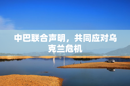 中巴联合声明，共同应对乌克兰危机