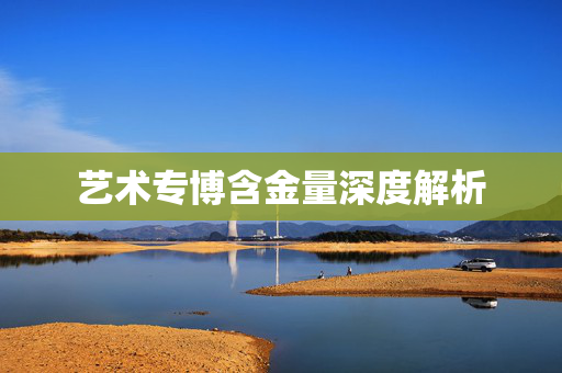 艺术专博含金量深度解析