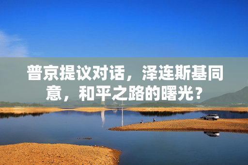 普京提议对话，泽连斯基同意，和平之路的曙光？