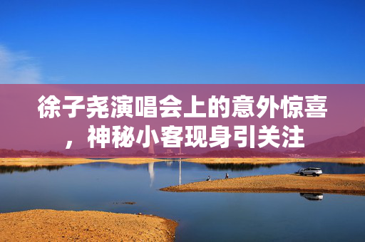徐子尧演唱会上的意外惊喜，神秘小客现身引关注