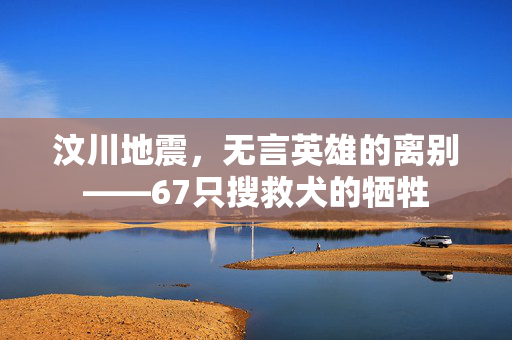 汶川地震，无言英雄的离别——67只搜救犬的牺牲