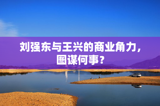 刘强东与王兴的商业角力，图谋何事？