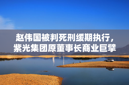 赵伟国被判死刑缓期执行，紫光集团原董事长商业巨擘的落幕
