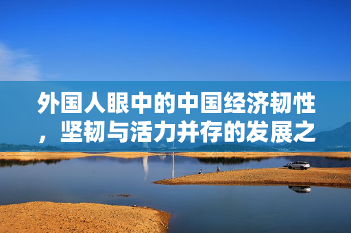 外国人眼中的中国经济韧性，坚韧与活力并存的发展之路