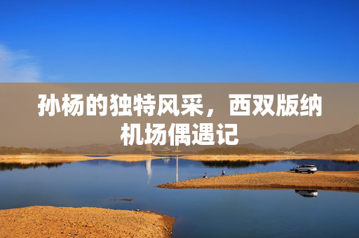 孙杨的独特风采，西双版纳机场偶遇记