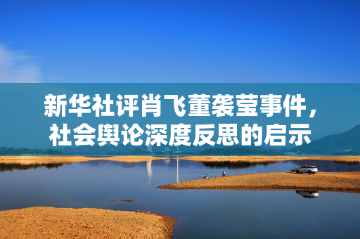 新华社评肖飞董袭莹事件，社会舆论深度反思的启示
