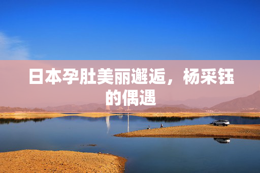 日本孕肚美丽邂逅，杨采钰的偶遇