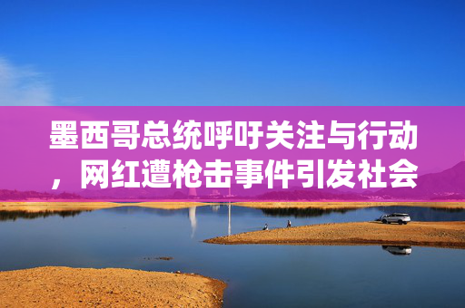 墨西哥总统呼吁关注与行动，网红遭枪击事件引发社会关注