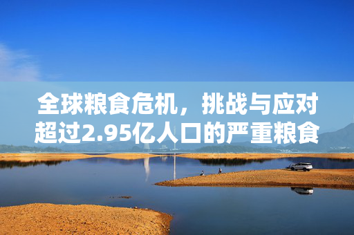 全球粮食危机，挑战与应对超过2.95亿人口的严重粮食不安全