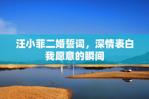 汪小菲二婚誓词，深情表白我愿意的瞬间