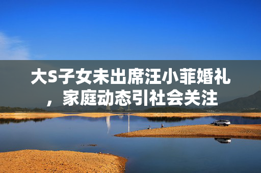 大S子女未出席汪小菲婚礼，家庭动态引社会关注