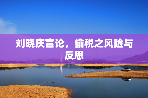 刘晓庆言论，偷税之风险与反思