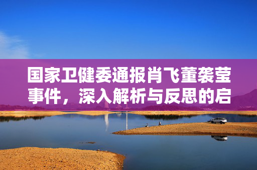 国家卫健委通报肖飞董袭莹事件，深入解析与反思的启示
