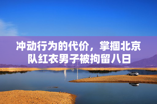 冲动行为的代价，掌掴北京队红衣男子被拘留八日