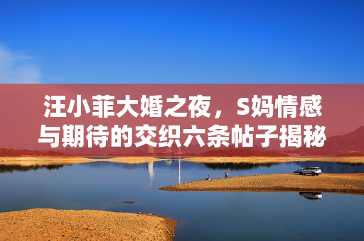 汪小菲大婚之夜，S妈情感与期待的交织六条帖子揭秘