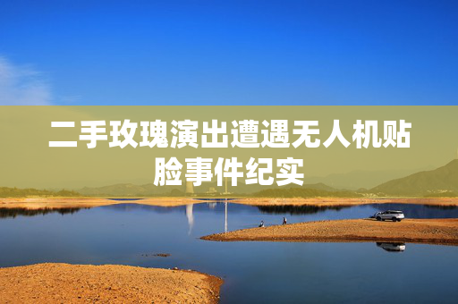 二手玫瑰演出遭遇无人机贴脸事件纪实