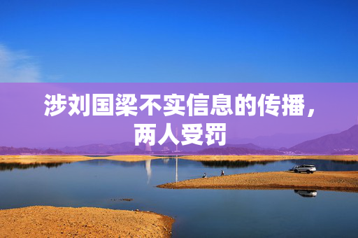 涉刘国梁不实信息的传播，两人受罚