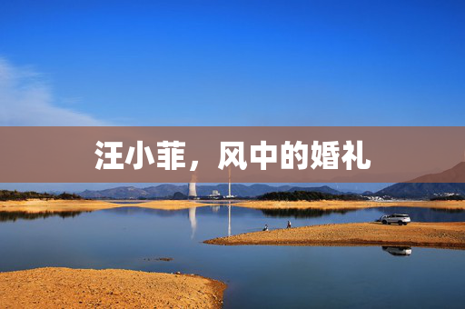 汪小菲，风中的婚礼