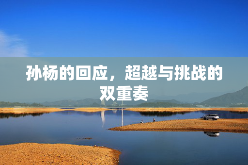 孙杨的回应，超越与挑战的双重奏