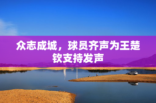 众志成城，球员齐声为王楚钦支持发声