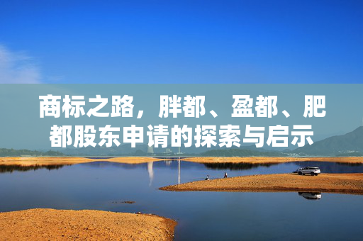商标之路，胖都、盈都、肥都股东申请的探索与启示