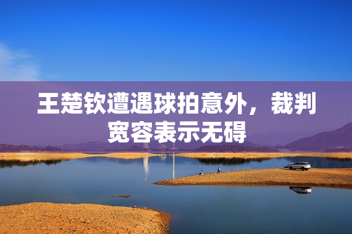 王楚钦遭遇球拍意外，裁判宽容表示无碍